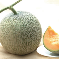 北海道産メロン